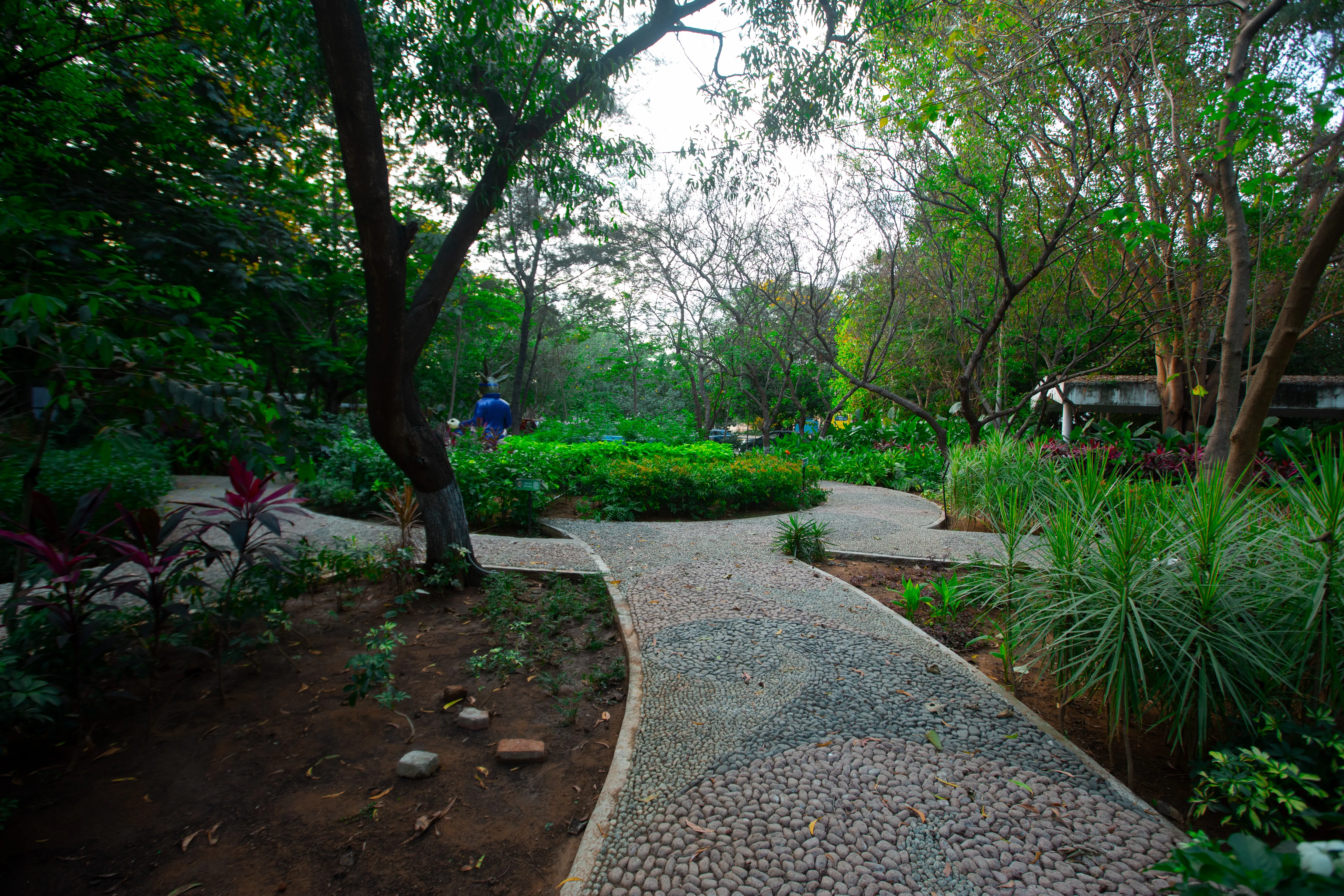Garden Pathway