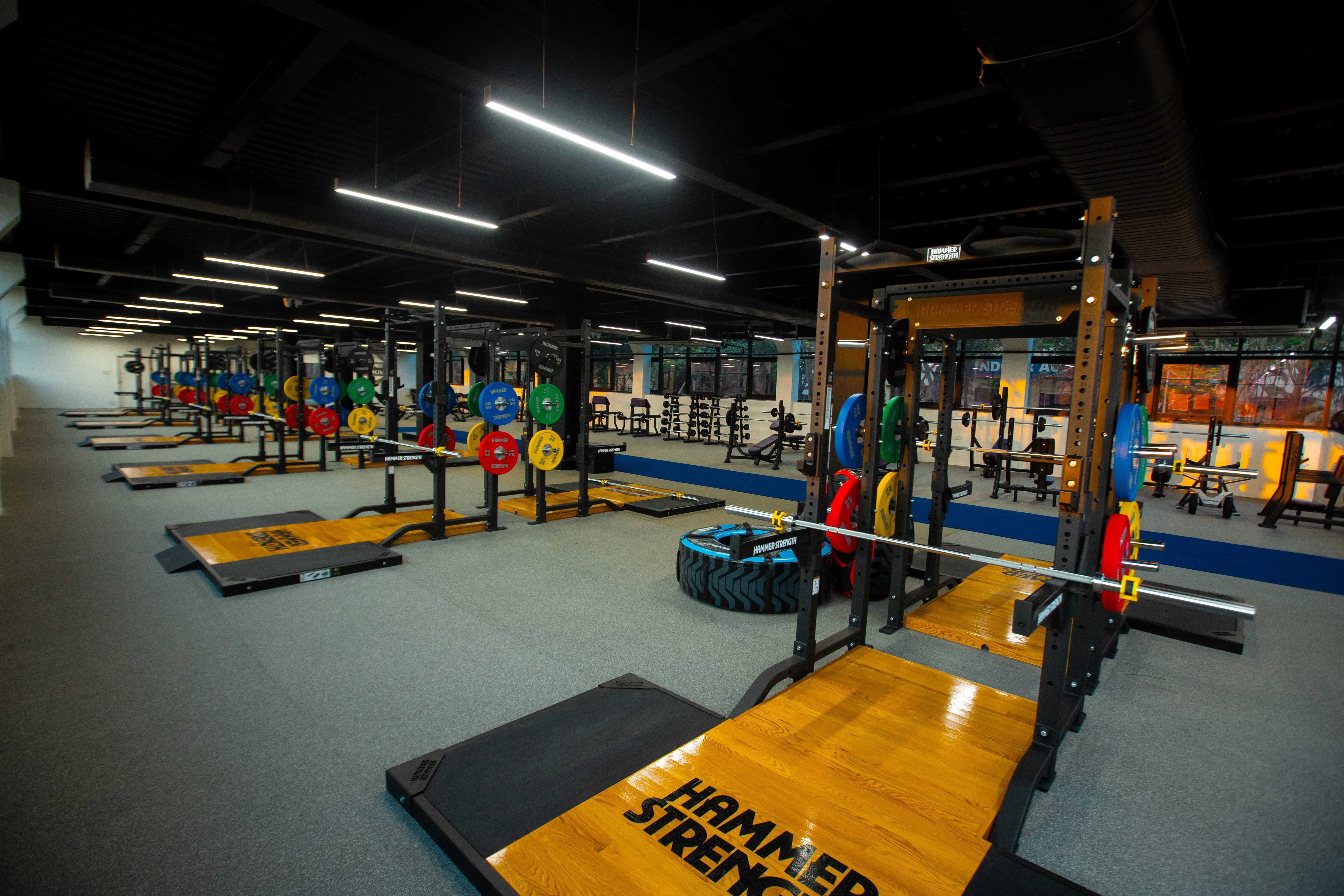 Hammer Strength Gym
