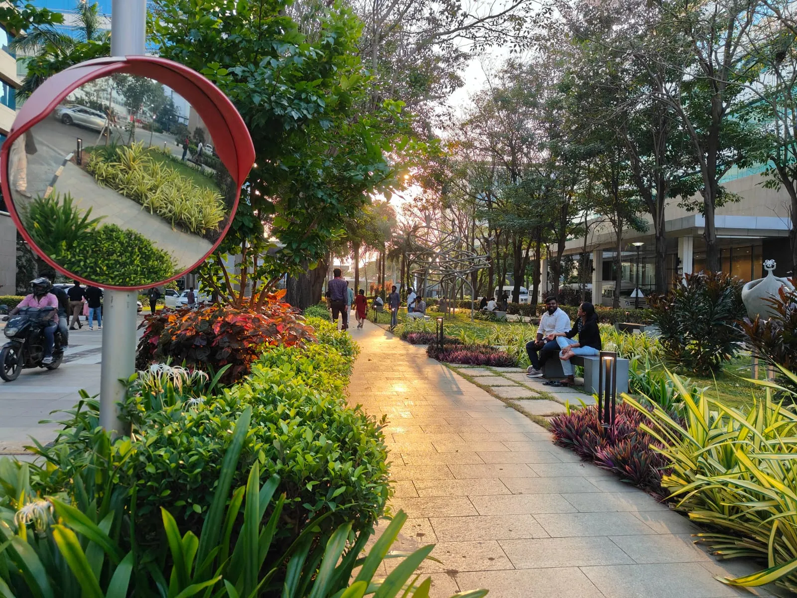 Campus Walkway