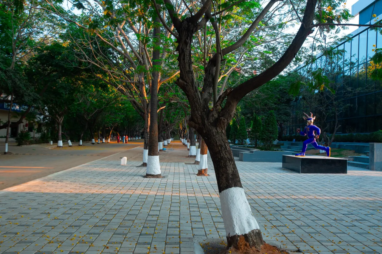 Students in motion on campus